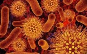 Vrste parazitov v človeškem telesu